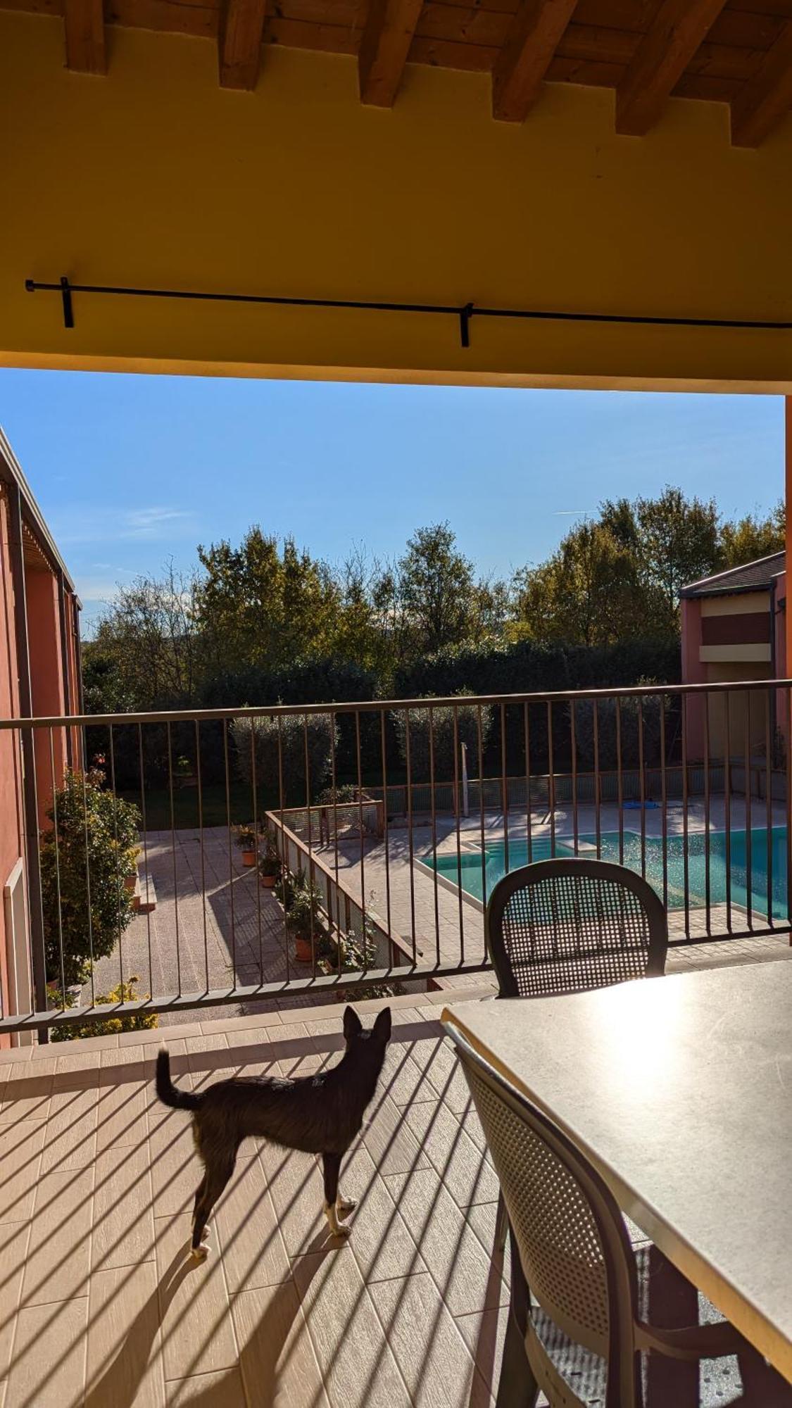 Agriturismo Ai Tre Fienili Ponti sul Mincio Dış mekan fotoğraf
